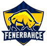 Fenerbahçe Esports