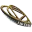 Fidelis
