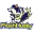 Flash Husky