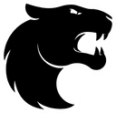 FURIA Academy