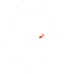 G2