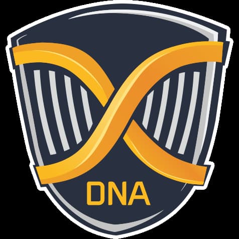 Gameplay DNA
