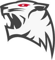 GE Tigers