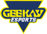 Geekay Esports