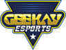 Geekay Esports