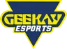 Geekay Esports