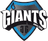 Giants Gaming