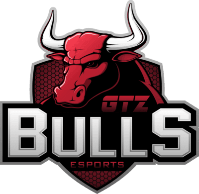 GTZ Bulls