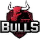 GTZ Bulls