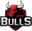GTZ Bulls