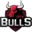 GTZ Bulls