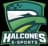 Halcones Tecmilenio