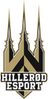 Hillerød eSport