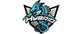 Hybrid Esports