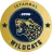 İstanbul Wildcats
