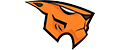 Intergalaxy Tigers Gaming