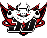 JD Gaming