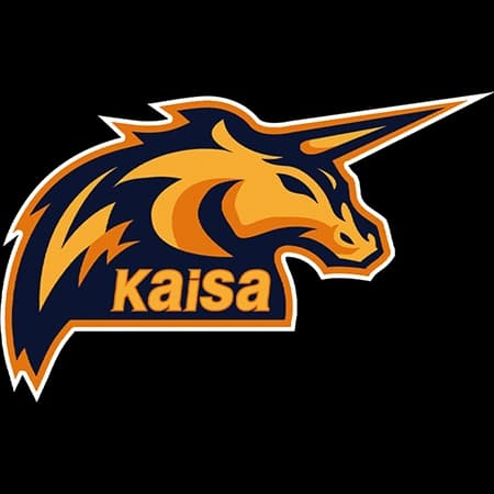 Kaisa Gaming