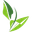Kanaya Gaming