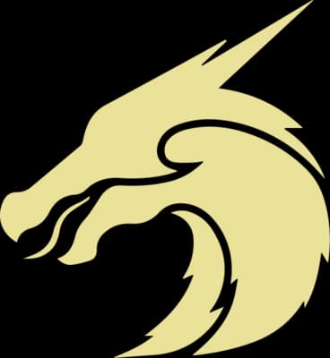 Kanji Esports Feuer