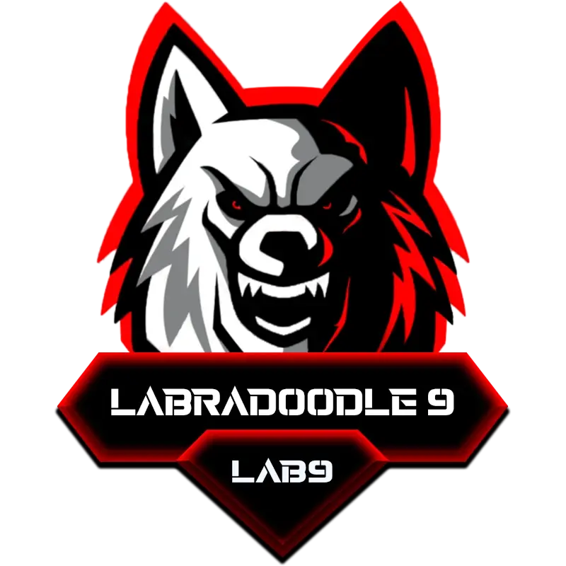 Labradoodle 9