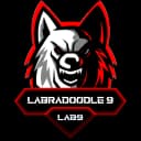 Labradoodle 9