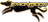 Lemondogs