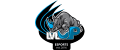Level Up esports