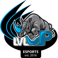 lvlUP Rhinos