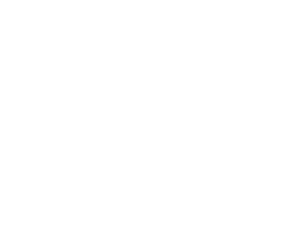 MAD Team