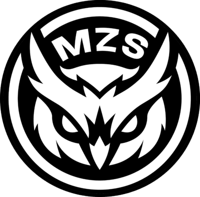 Mezexis Esports