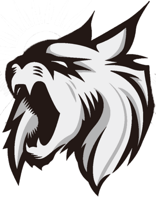 Midnight Sun Esports