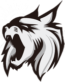 Midnight Sun Esports