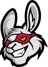 Misfits Gaming
