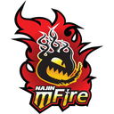 Najin e-mFire