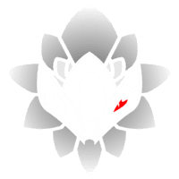 NCG Esports