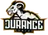 nDurance Gaming