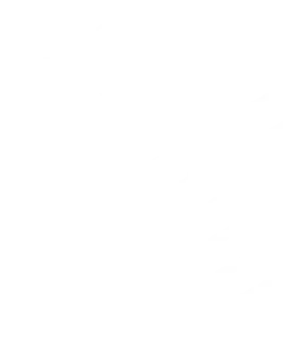 NOVO Esports
