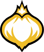 Onion Team