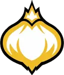Onion Team