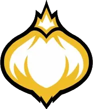 Onion Team