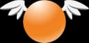 Orange Esports