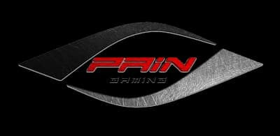 paiN Gaming