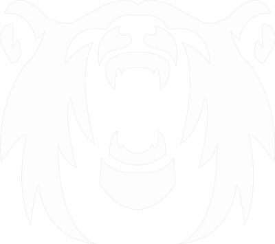 Polar Squad Esports