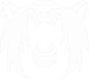 Polar Squad Esports