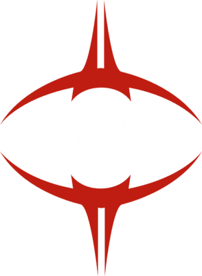 Project Conquerors