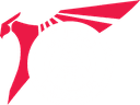 PSG Talon Academy
