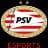 PSV Esports Academy