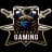 Reformed Gaming