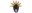Relic Esports